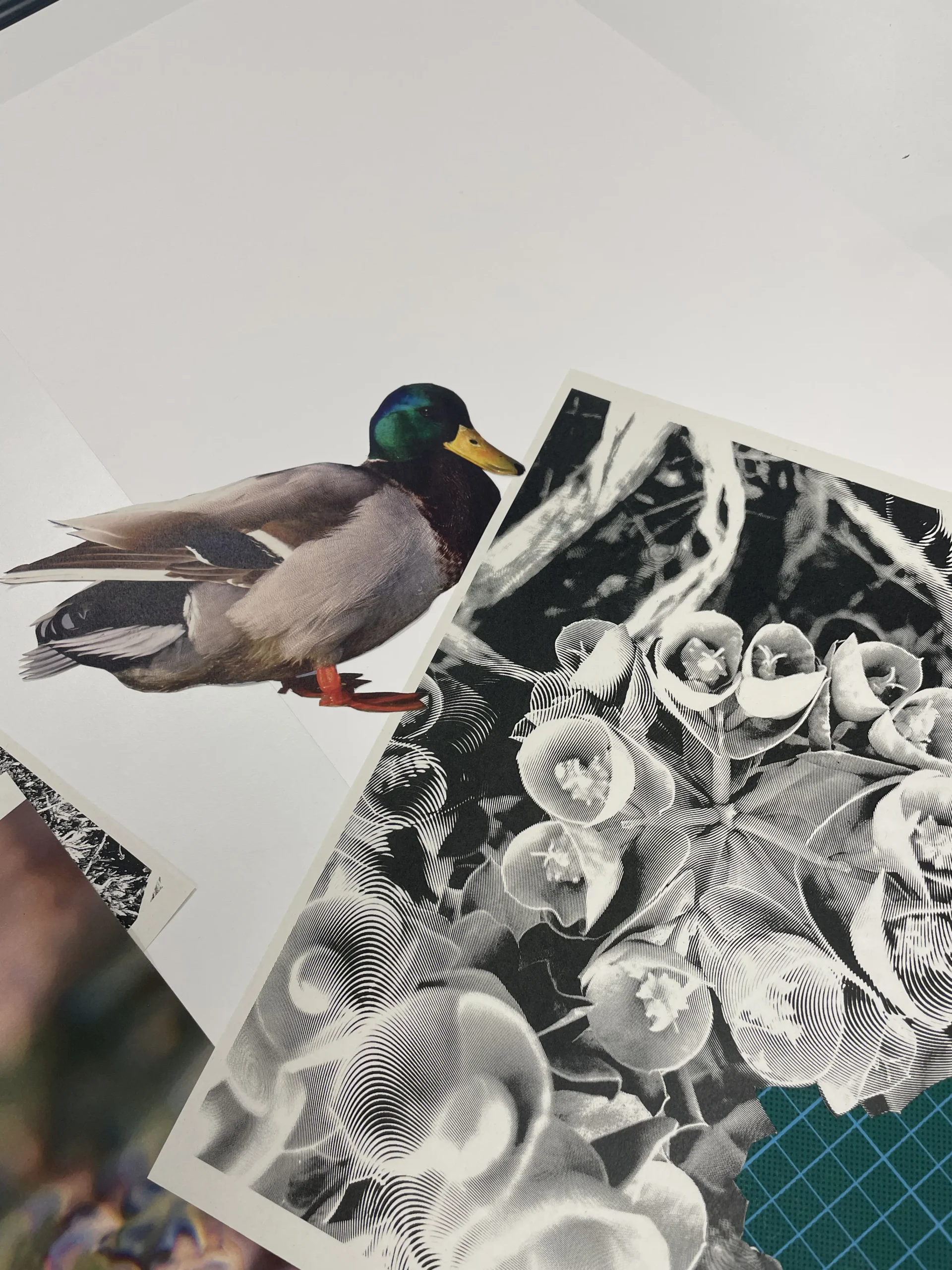 Atelier Affiches Sonores