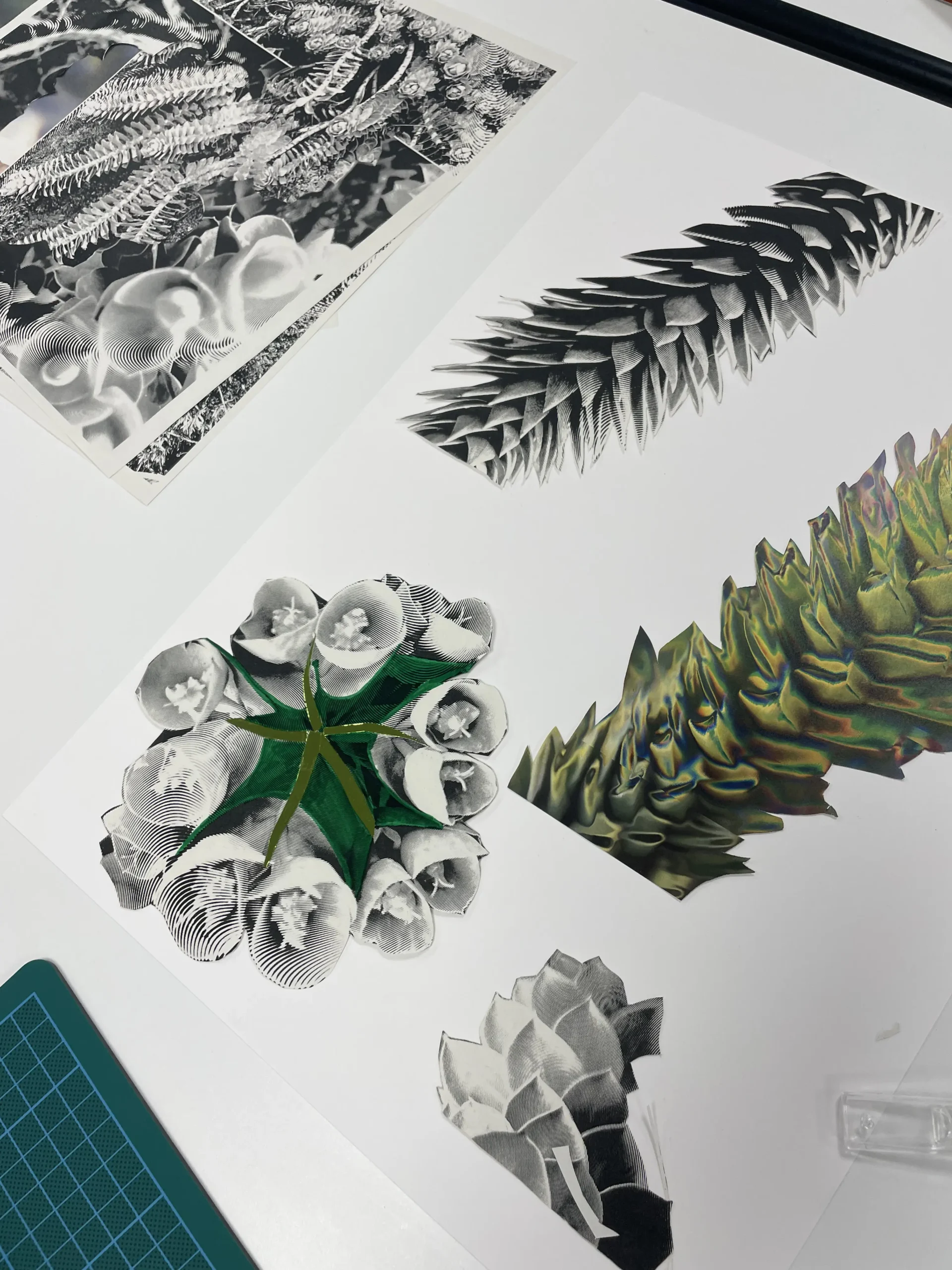 Atelier Affiches Sonores